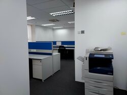 Trivex (D13), Office #487001561